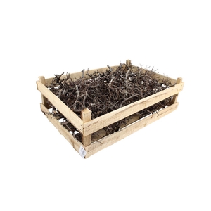 Bonsai Wooden Box Natural