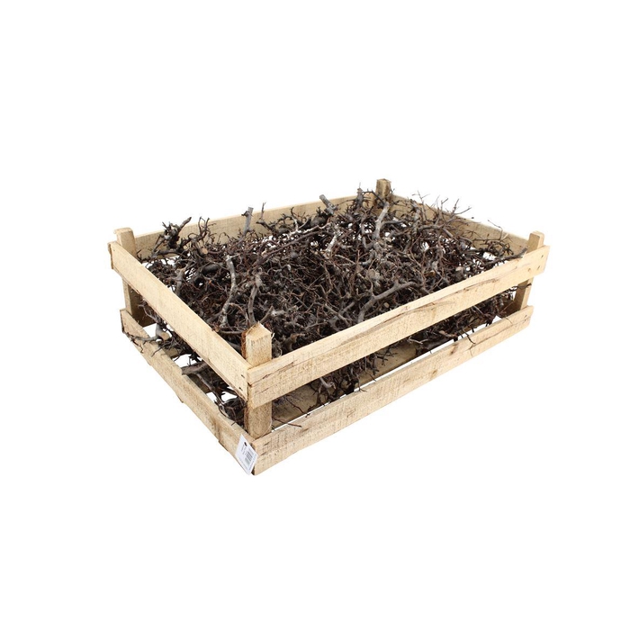 <h4>Kist Bonsai Natural 60x40cm</h4>