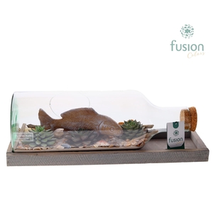 Green Bottle Fles Medium liggend Maritiem met Succulenten