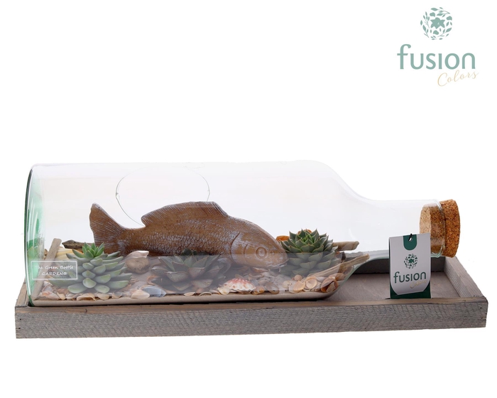 <h4>Green Bottle Fles Medium liggend Maritiem met Succulenten</h4>