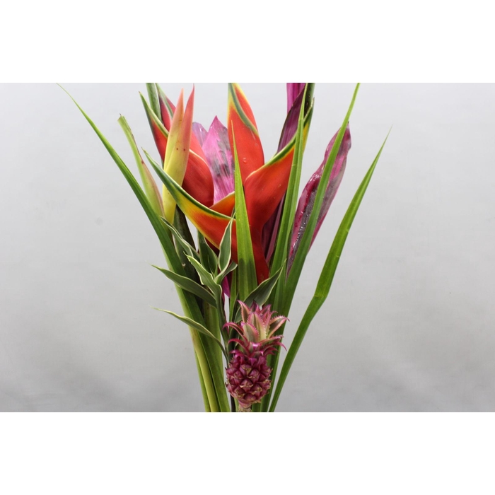 <h4>Heliconia Bqt Bqt Havana Cafe</h4>