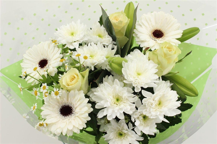 Boeket 3 Roos 3 Germini Wit