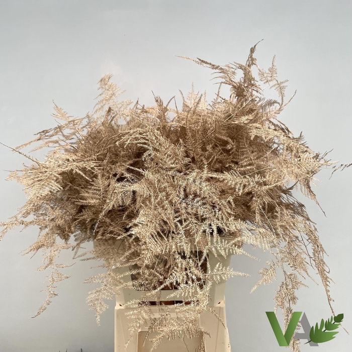 <h4>ASP OV KLB H%</h4>