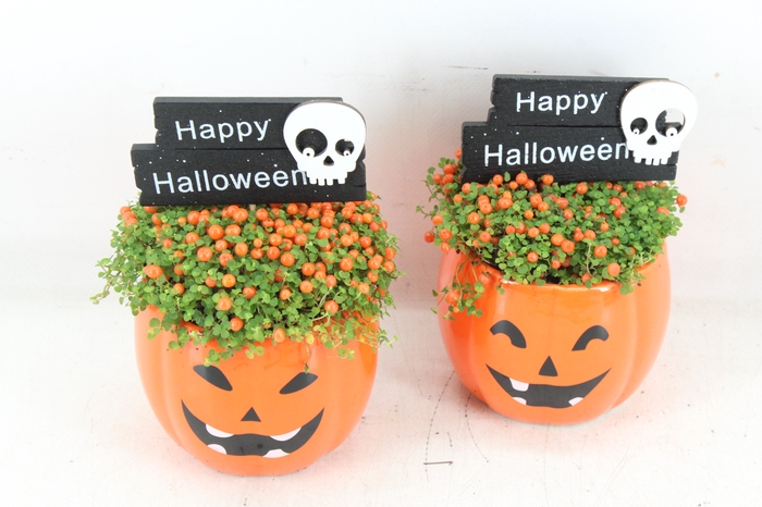 <h4>arr2 JS - Ker. halloween Nertera</h4>