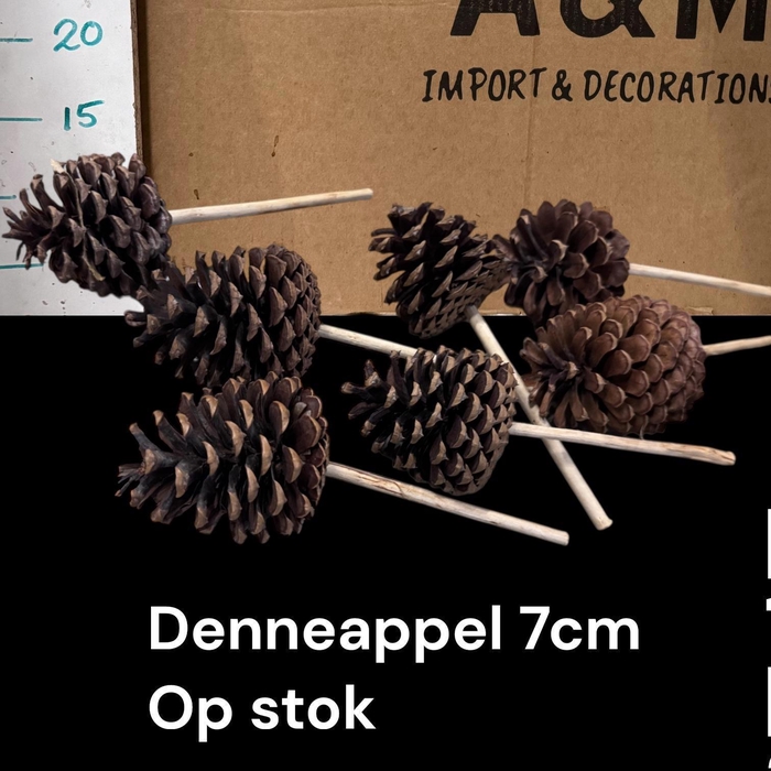 <h4>DENNENAPP OP STOK H%</h4>