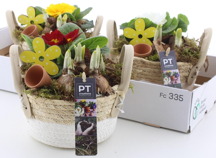 <h4>ARR PL IN SCHAAL</h4>