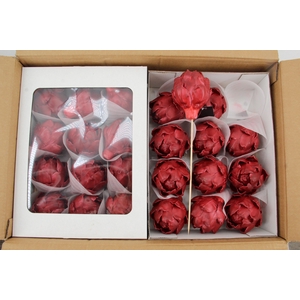 Wax Artichoke Ø8x10cm Burgundy