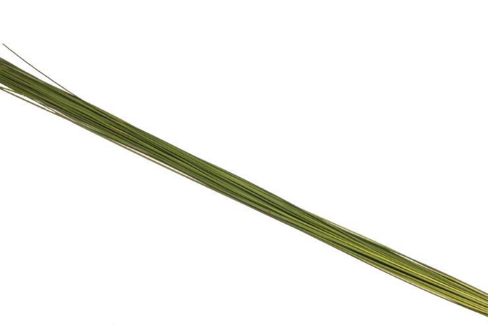 <h4>Flexigras Vacuum X5</h4>