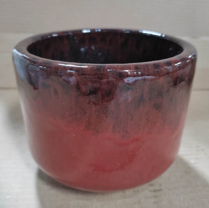 <h4>CACHEPO EUGENIA 1 VERMELHO TULIPA (CEU01VT) 002507</h4>