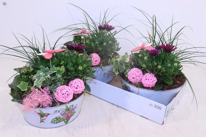 <h4>ARR TUINPLANTEN</h4>