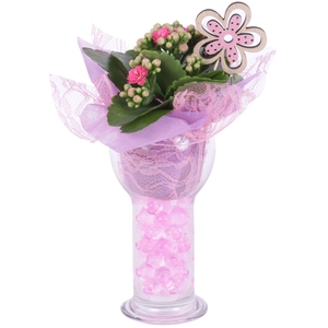 Womens Day Arr. Indoor Glass Sphere Cylinder Vase Ø09cm 1PP