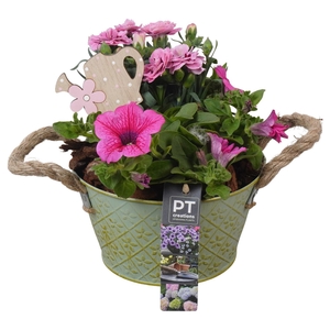 PTPP6893 Arrangement Patio in metalen schaal