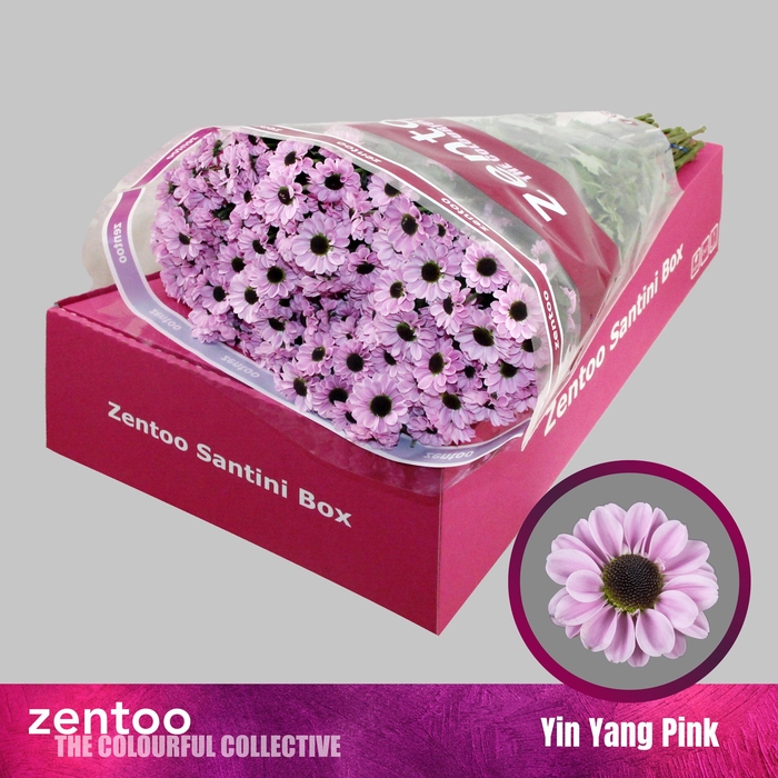 <h4>CHR S YIN YANG PINK</h4>