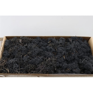 Moss Reindeer Moss 500gr Black