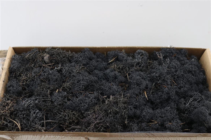 <h4>Moss Reindeer Moss 500gr Black</h4>