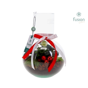 Green Bottle Suzanne Medium Kerst met Helleborus