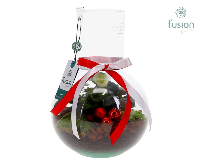 <h4>Green Bottle Suzanne Medium Kerst met Helleborus</h4>