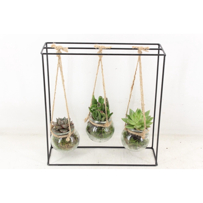 <h4>Arr2 Pl - Ijzer Rek 3 Glas</h4>