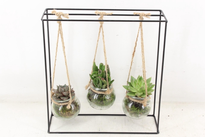 <h4>arr2 PL - IJzer rek 3 glas</h4>