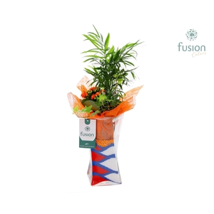 Glazen Twistervaas met Arrangement