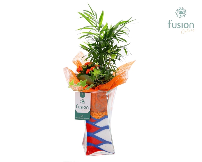<h4>Glazen Twistervaas met Arrangement</h4>