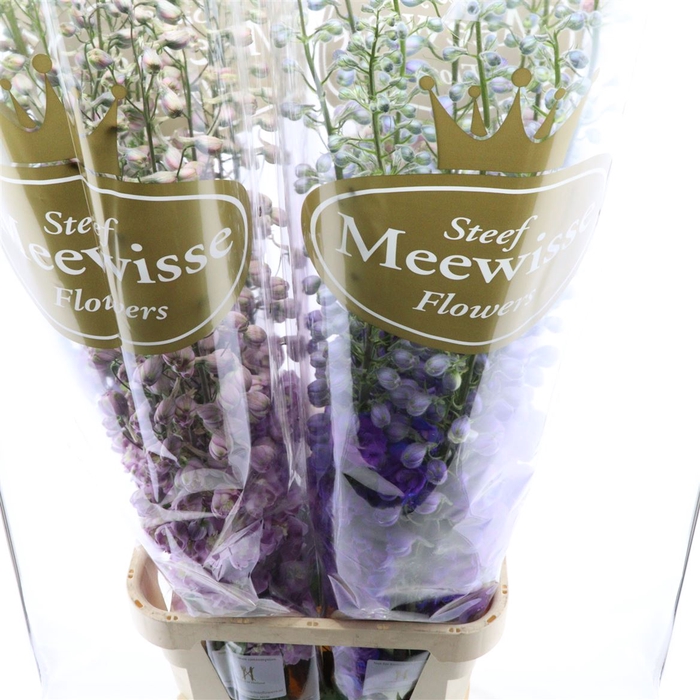 <h4>Delphinium Mix</h4>