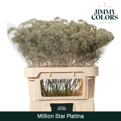 <h4>Gyps Million Star L80 Metallic platina</h4>