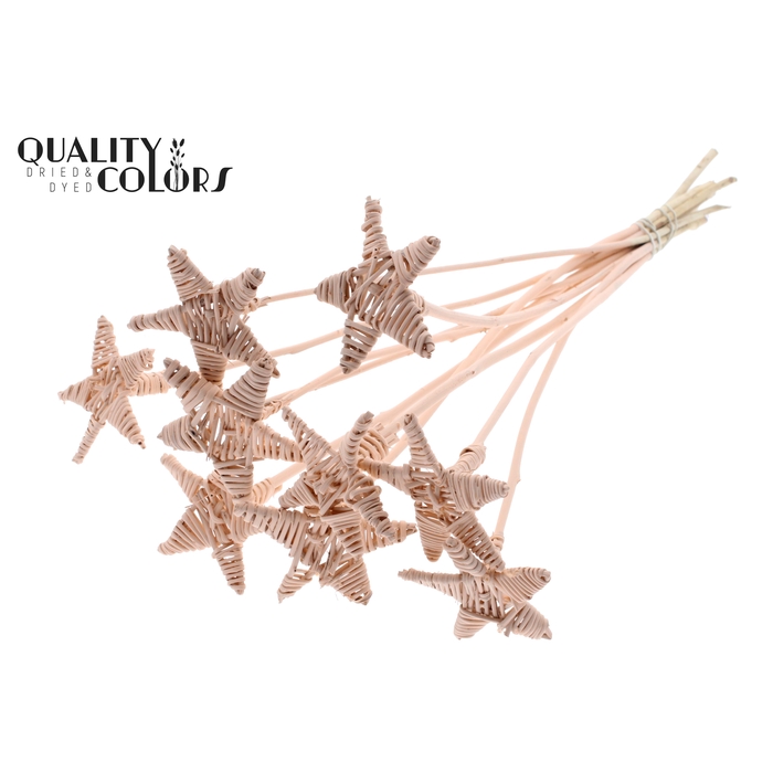 <h4>Lata Star on stem Covered Apricot</h4>