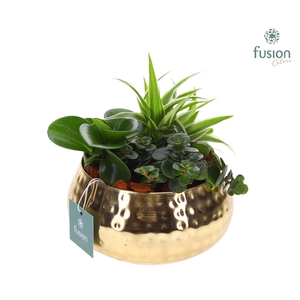 Schaal Indian metaal goudkleurig met groene planten