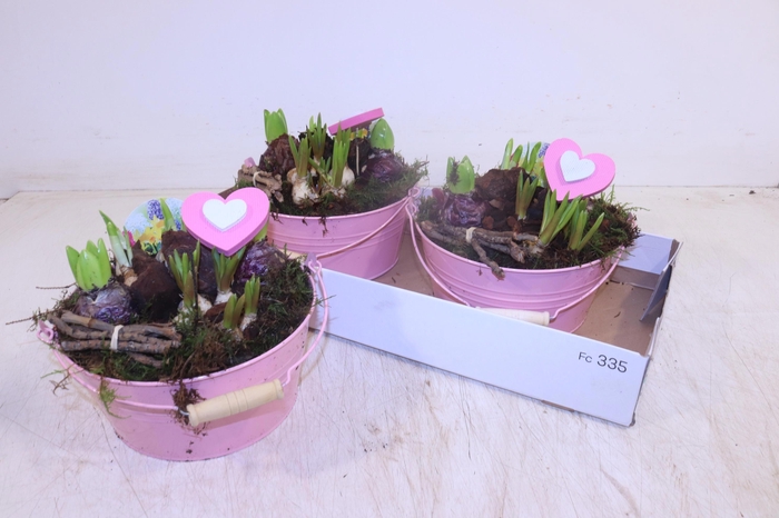 <h4>ARR BOL KNOLGEWAS</h4>