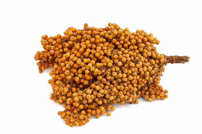 <h4>Schinus M Pt Mustard Bunch</h4>