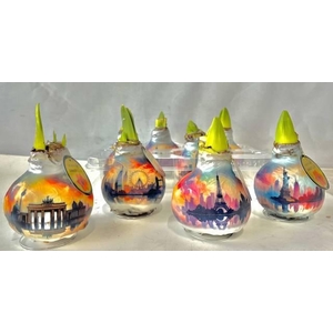 BLOEMBOL HIPPEASTRUM