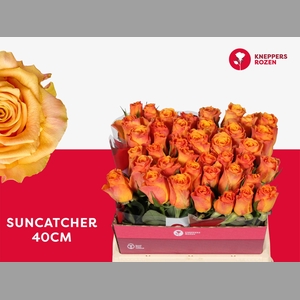 R GR SUNCATCHER