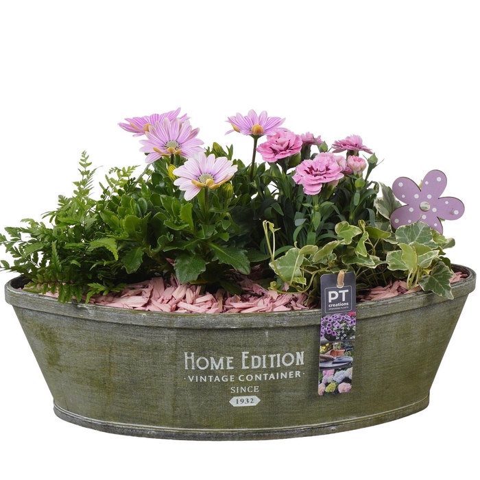 <h4>Arr.   Perkplanten H%</h4>