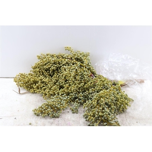 Sier Dadels Di Lago 3 Kg