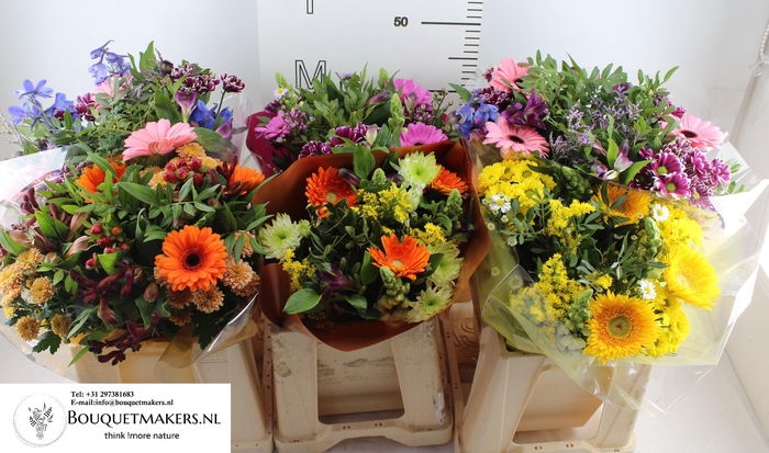 <h4>GEM BOEKET OV</h4>