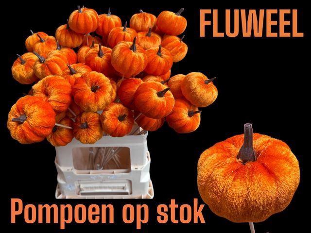 <h4>DEC PUMPKIN ON STICK ORANGE</h4>