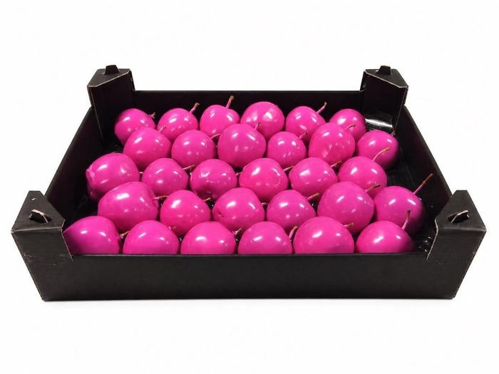 <h4>WAX APPEL H%</h4>