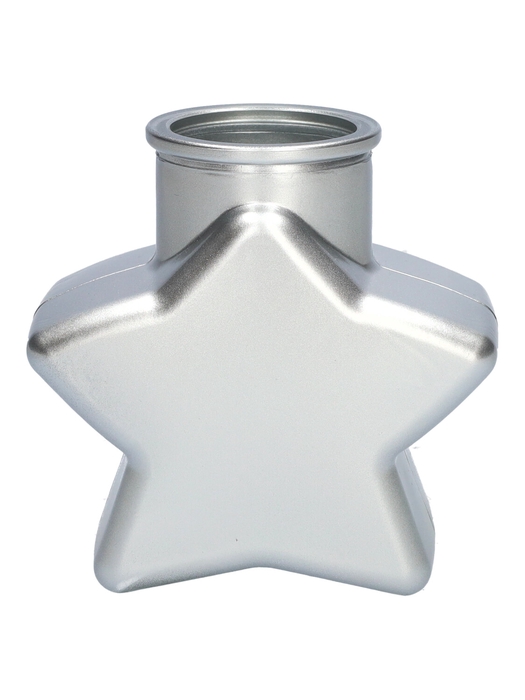 <h4>DF02-667170400 - Bottle Sterre 11x6.2x10.7 silver</h4>