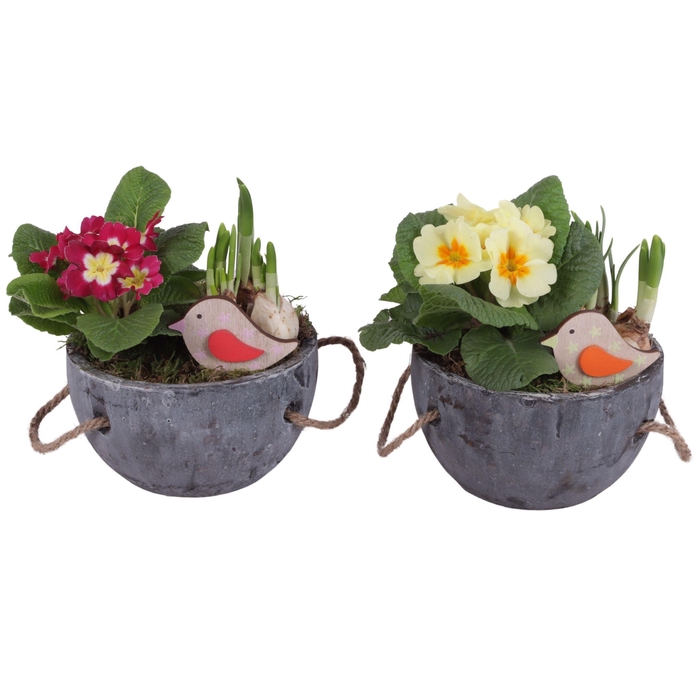 <h4>Early Spring Arr. Outdoor Ceramic Pot with Rope Handle Ø16cm 2PP</h4>