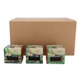 Greengift Basil Oregano Thyme Mix Box 9x8cm