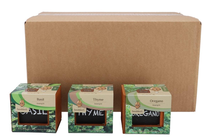 <h4>Greengift Basil Oregano Thyme Mix Box 9x8cm</h4>