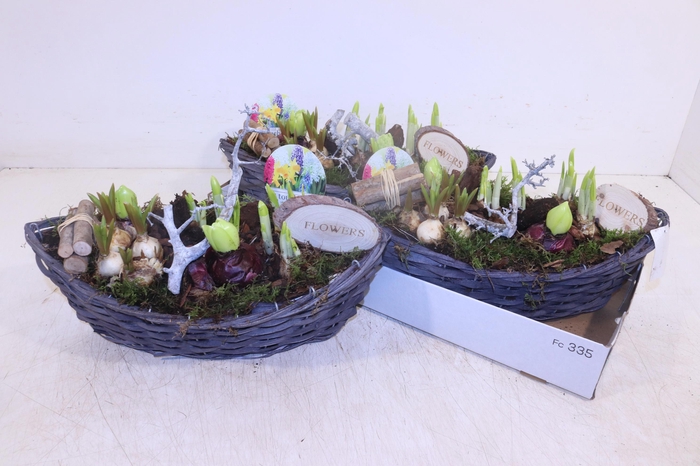 <h4>ARR BOL KNOLGEWAS</h4>