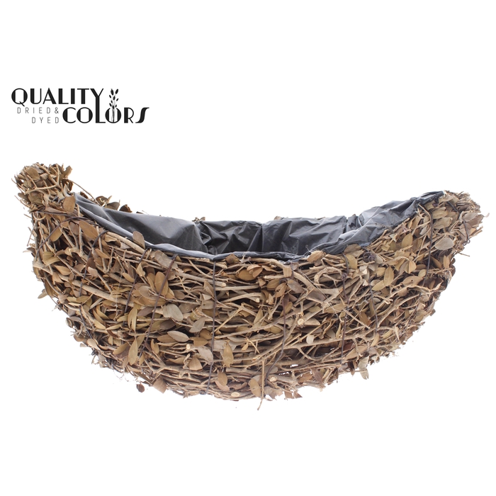 <h4>Planter Pinar Oval  L40cm B14cm Natural</h4>