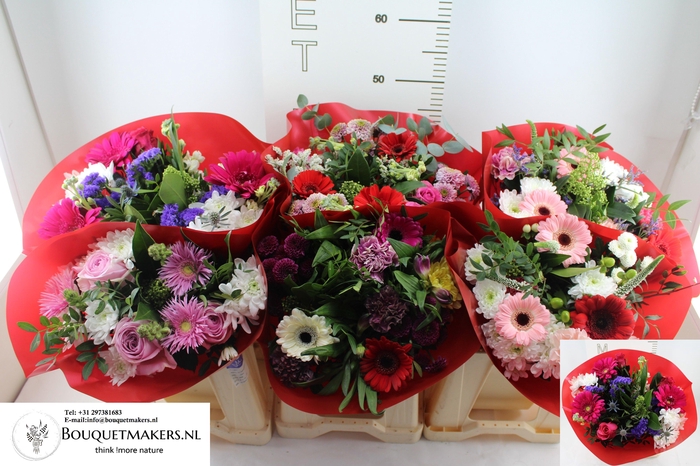 <h4>GEM BOEKET OV</h4>