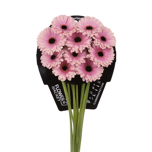 <h4>Ge Mi Esmee Flowerracket</h4>