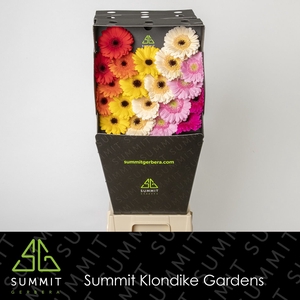 Germini Mix Dream Classic Diagonaal Diamond per kaart