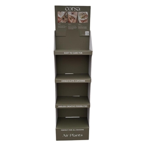 Tillandsia display empty