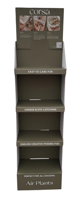 <h4>Tillandsia display empty</h4>