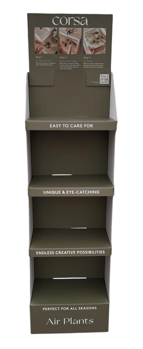 <h4>Tillandsia display empty</h4>